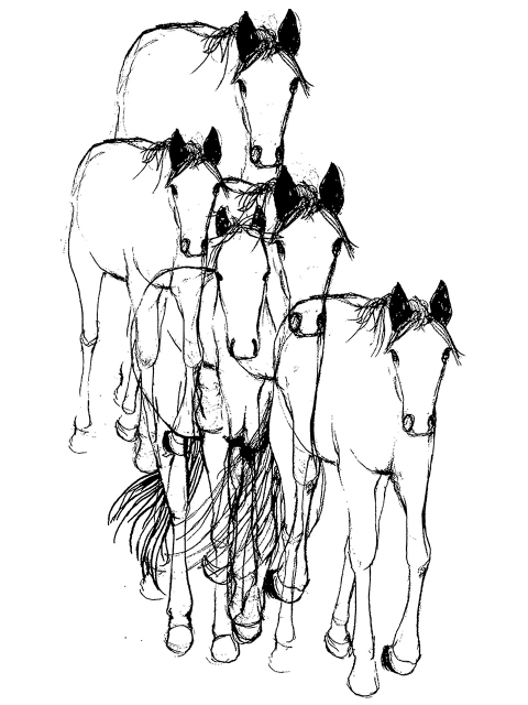 Horses 